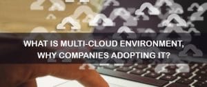What is Multi-Cloud Environment, Why Companies Adopting it?