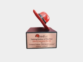 Training Partner of the Year