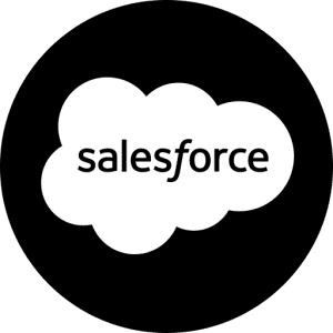 Salesforce Developer